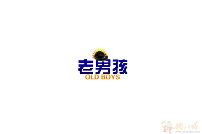 设计"老男孩"三个字 露泽祺天 投标-猪八戒网