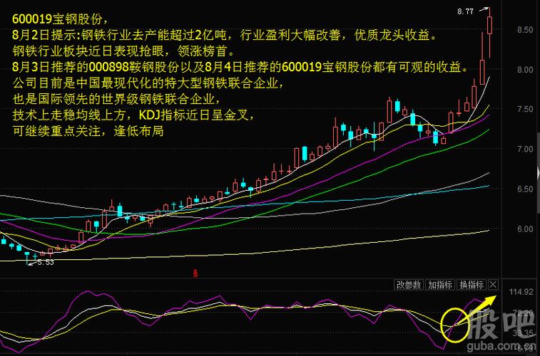 博客吧(dcblog) 正文  推荐理由:600019宝钢股份,8月2日提示:钢铁行业