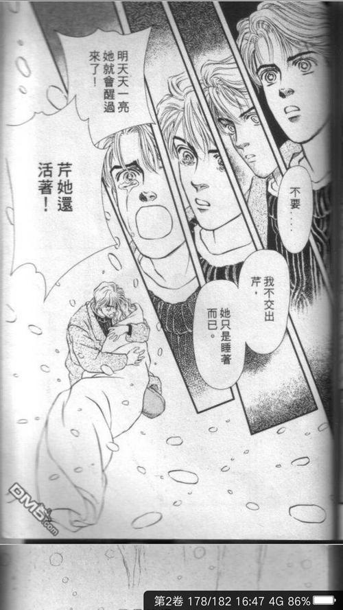 蔷薇之恋
