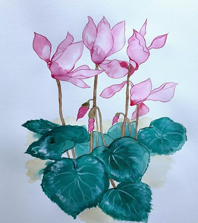 仙客来花简笔画怎么画