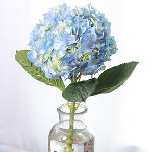 婚庆花绣球花