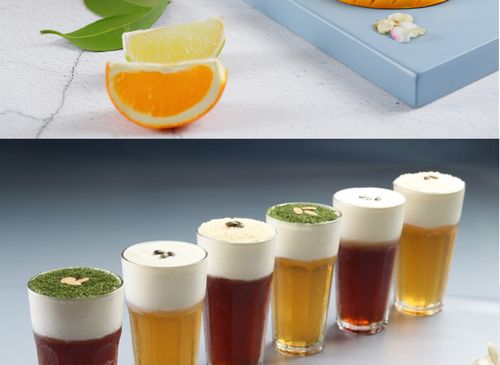 非同凡饮 芝士海盐奶盖粉 奶茶店饮品店奶盖粉 1000g