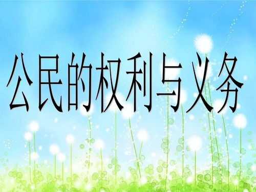 如何理解公民基本权利和基本义务之间的关系