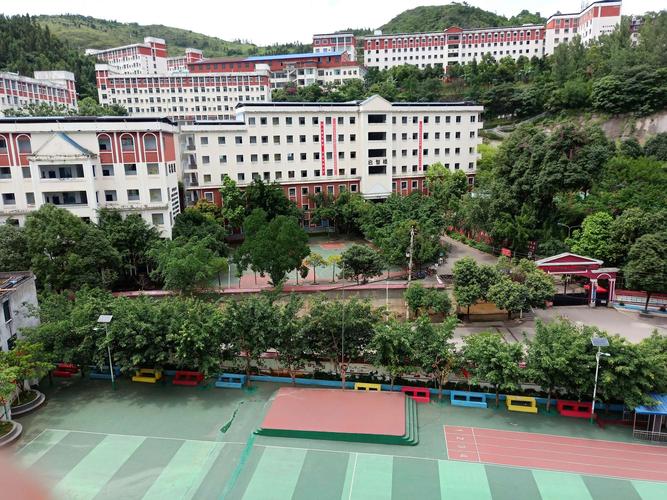 (施达)赛文学校