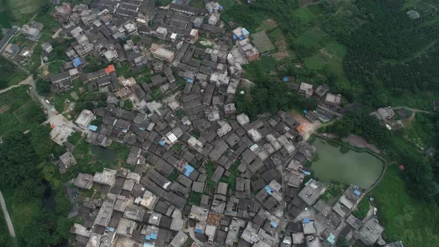 【乡村新闻官·清远播报18】佛冈高岗墩下村何国委:让你有种恋爱甜蜜