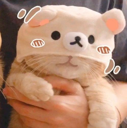 收割招财萌猫头像好运气100000000000