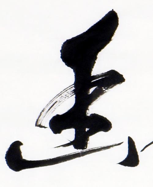 徐大鑫
