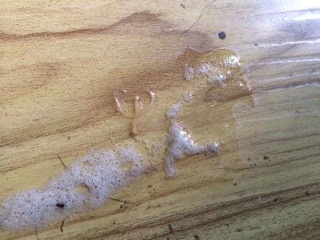 貌似猫咪呕吐物里有寄生虫,求养猫大神解释下是不是弓形虫,需要做什么