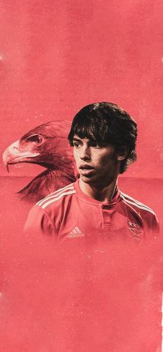 踢球侠壁纸:马竞费利克斯高清全面屏手机壁纸第二期