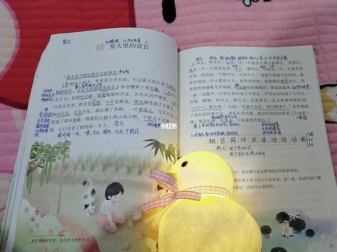 语文笔记第15课夏天里的成长_夏天去哪玩_语文笔记_教育_小学教育
