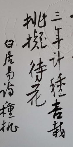 贺铁牛行书:白居易《种桃杏》