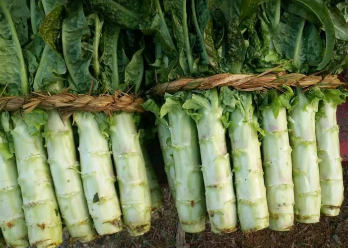 莴笋削皮机 淮山去皮 青瓜剥皮设备 九盈机械