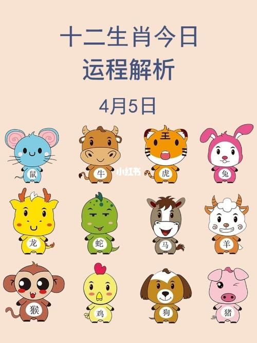 十二生肖今日运程_生肖_运势_星座命理_星座命理其他