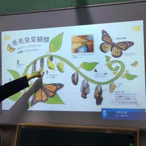 通过赵梓锐妈妈的这堂课,我又了解了新知识,知道了,毛毛虫变成蝴蝶的