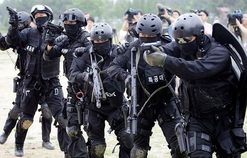 韩国特警举行反恐演习 中新网 图