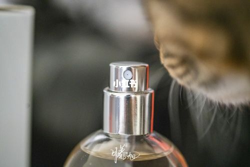 多宝都喜欢闻的男士香水-希汀雅致檀香香水_香水_檀香