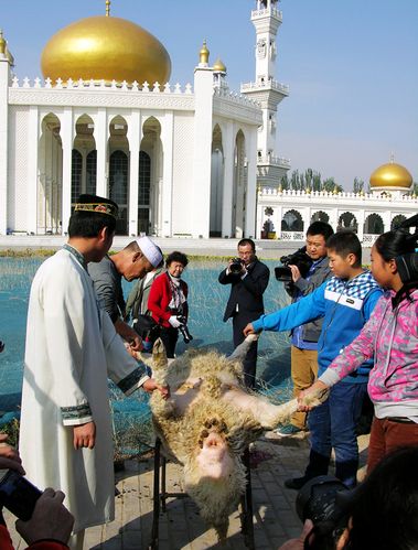 宁夏银川——古尔邦节看宰牲演示