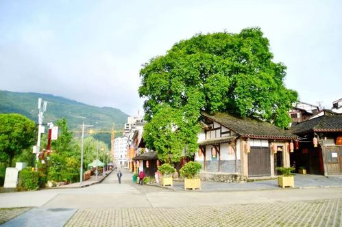 地址: 陕西省安康市石泉县后柳镇,门票: 免费