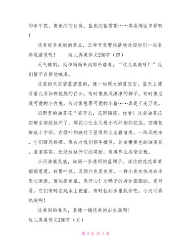 这儿真美作文250字doc