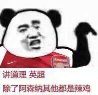 建一栋阿森纳相关表情包图楼