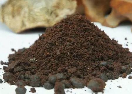 麝香对孕妇有什么危害麝香对孕妇的危害_麝香对孕妇的