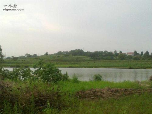 图片_湖北省黄冈市浠水县巴河镇学山村