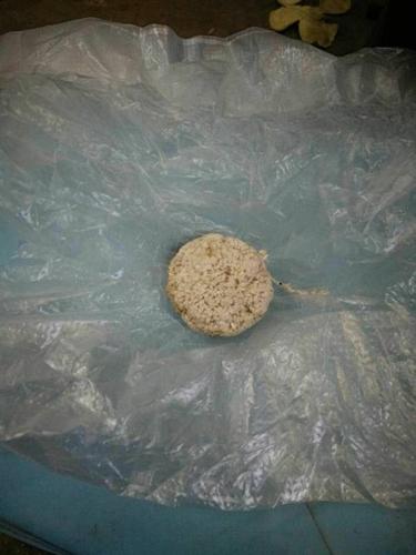 这是在猪尿泡里取的,硬硬的,圆形的,究竟是个什么东西