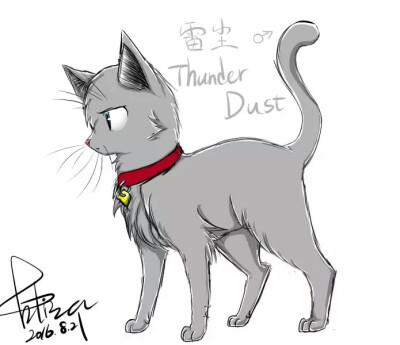 猫武士情侣头像