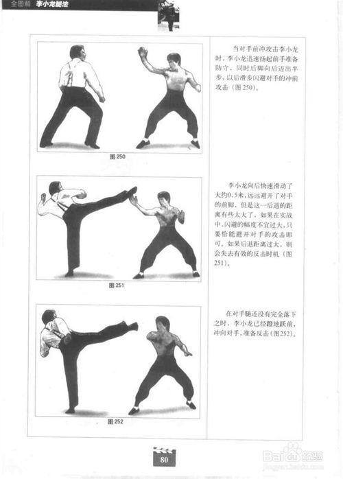 截拳道基本腿法———《全图解 李小龙腿法》