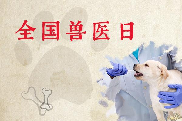 全国兽医日中国兽医人的节日