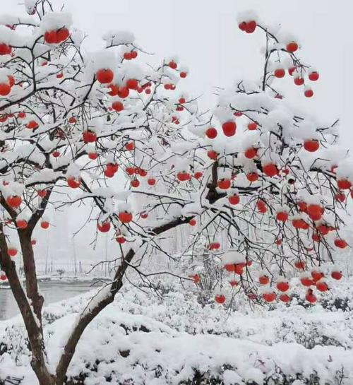 红装素裹小灯笼