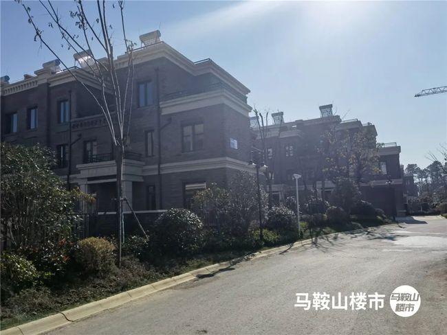 马鞍山这个森林里的别墅正在交付,实景惊艳|御景园|联排|别墅区|独栋