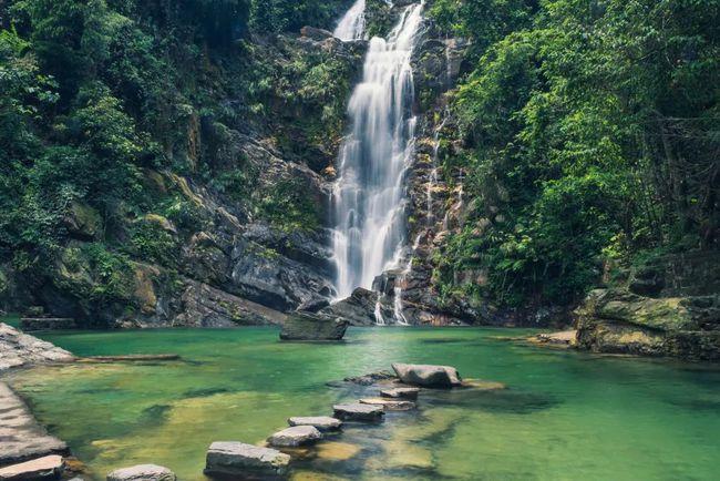 广州从化这个地方入选广东十大最美森林旅游目的地|森林公园|自然保护