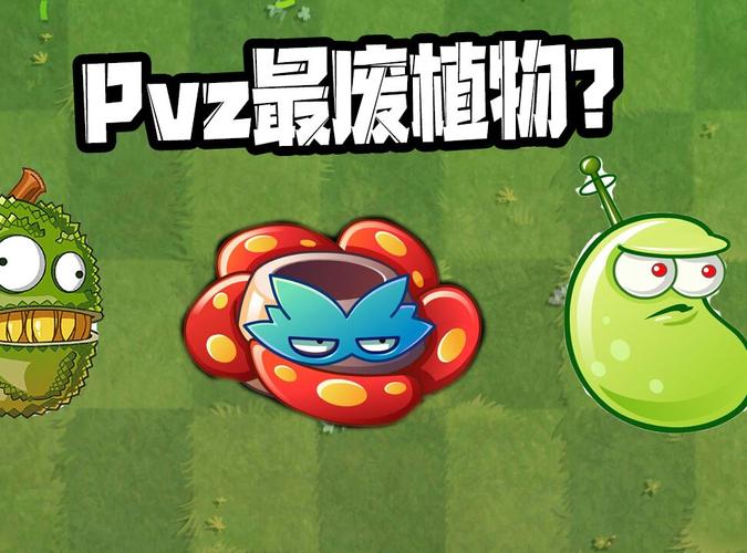 植物大战僵尸:pvz最废的植物!蜜帝:你礼貌吗?