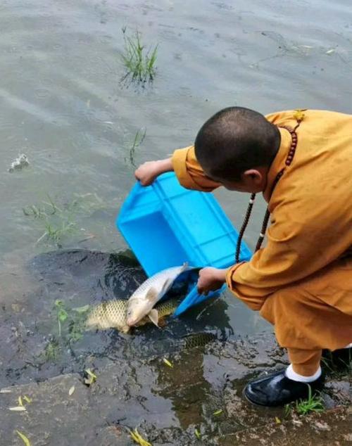 广州河边现"职业捞鱼人",一有人放生马上出现,专捞黑鱼,甲鱼
