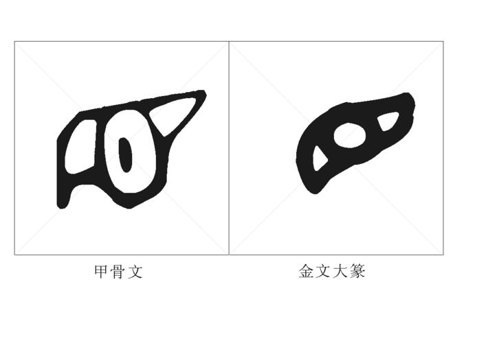 目的甲骨文怎么写