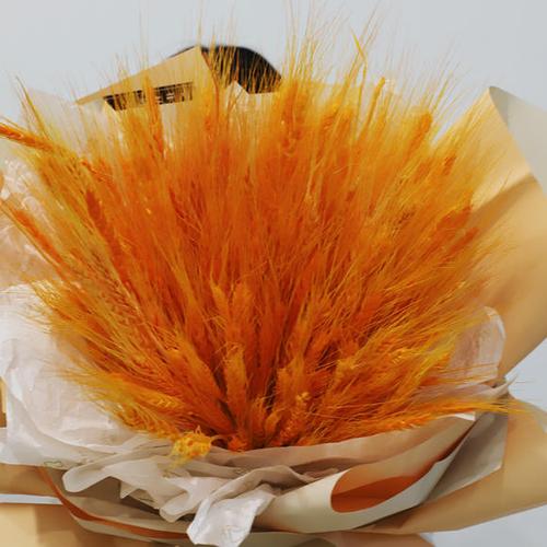 大麦花束生日祝福开业祝福庆典祝福花束