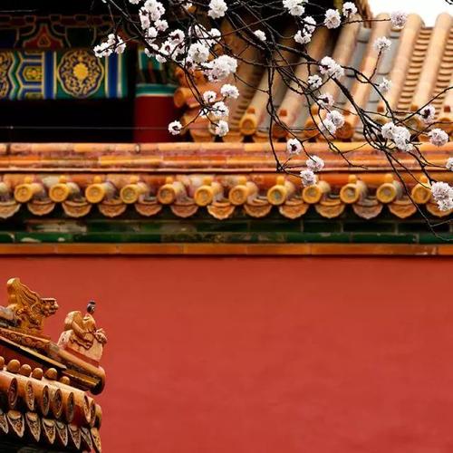 故宫 紫禁城 古建筑 古城 古建筑摄影 传统文化 中国风 中国元素 传统