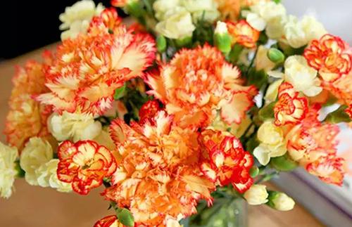 晴天见康乃馨花束diy礼献母亲 时光无恙 岁月如花 活动时间