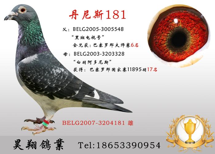 丹尼斯x克拉克                          保证金级