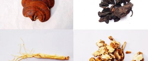 泰山四大名药(何首乌,四味参,紫草和黄精)