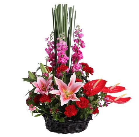 八十大寿送什么好答:以下给你几点建议,希望对你有所帮助:)1,可以买