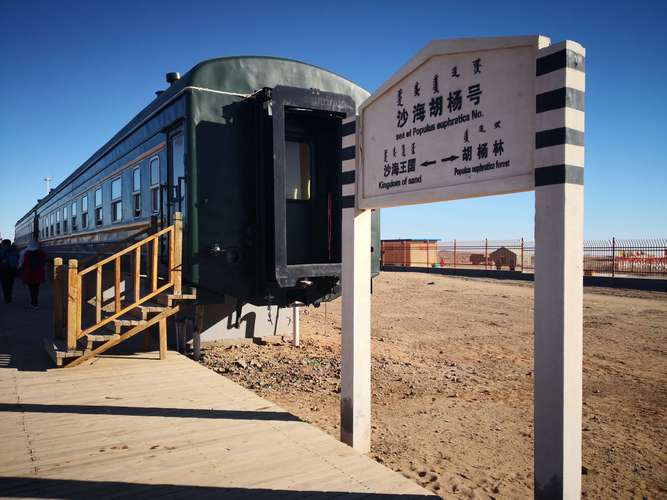 额济纳旗八道桥位于世界第三大沙漠——巴丹吉林