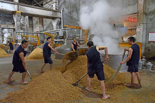 一线烤酒工讲述世界名酒如何酿造