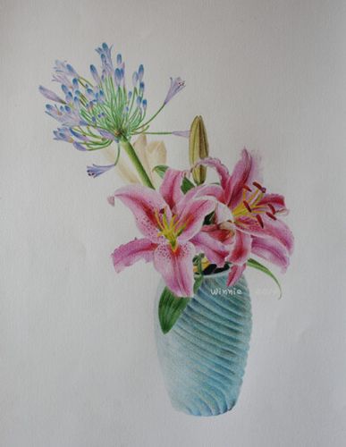 彩铅手绘静物插画