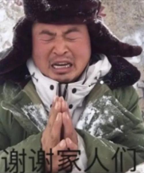 谢谢家人们丽丽表情包丽丽谢谢人们表情