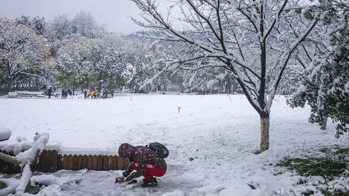 杭州下雪了(6)一一太子湾公园雪景