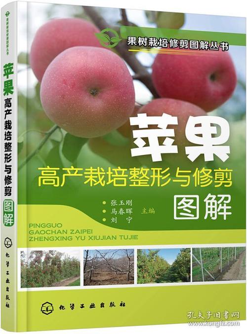 苹果树种植技术书籍果树栽培修剪图解丛书苹果高产栽培整形与修剪图解