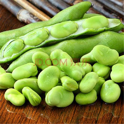 农村蚕豆鲜嫩绿皮胡豆兰花豆大豆生蚕豆现摘新鲜带壳青豆荚1500克