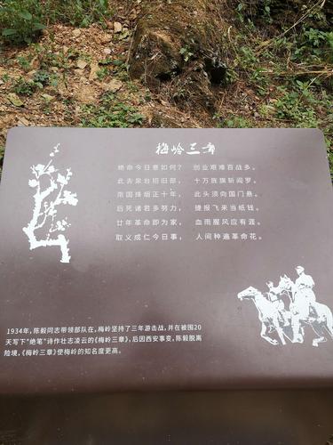 陈毅是个好同志. 梅岭三章好文章.